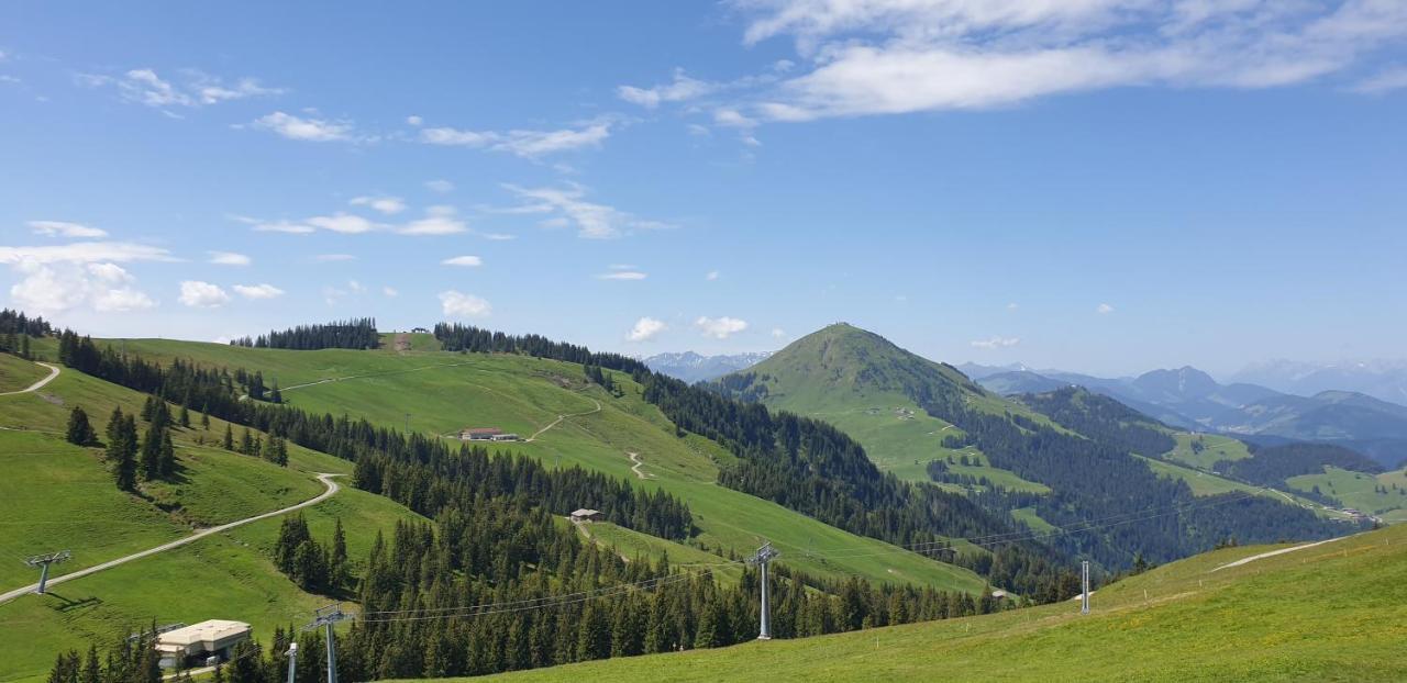 Ferienwohnung Sappl Scheffau am Wilden Kaiser Esterno foto