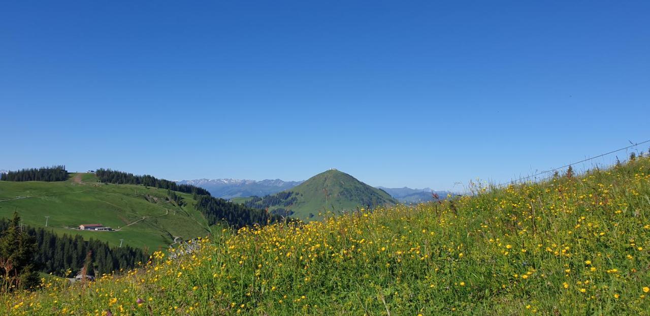 Ferienwohnung Sappl Scheffau am Wilden Kaiser Esterno foto