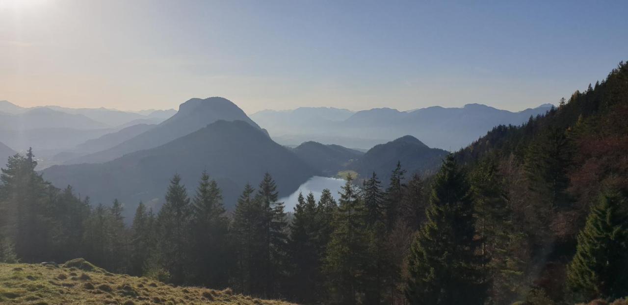 Ferienwohnung Sappl Scheffau am Wilden Kaiser Esterno foto