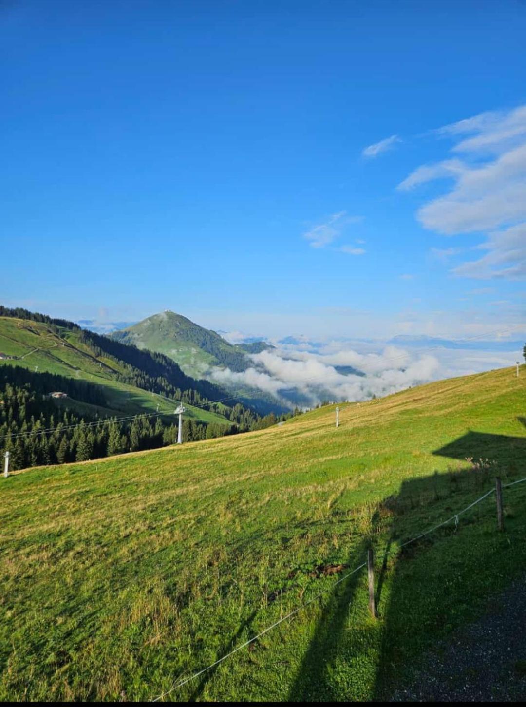 Ferienwohnung Sappl Scheffau am Wilden Kaiser Esterno foto