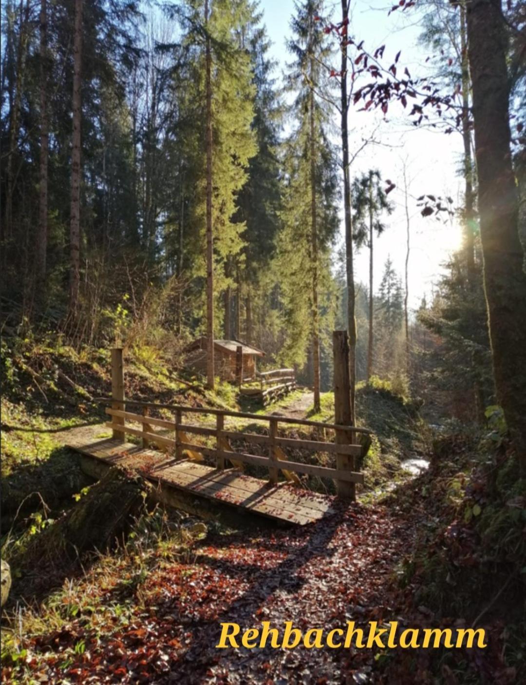 Ferienwohnung Sappl Scheffau am Wilden Kaiser Esterno foto