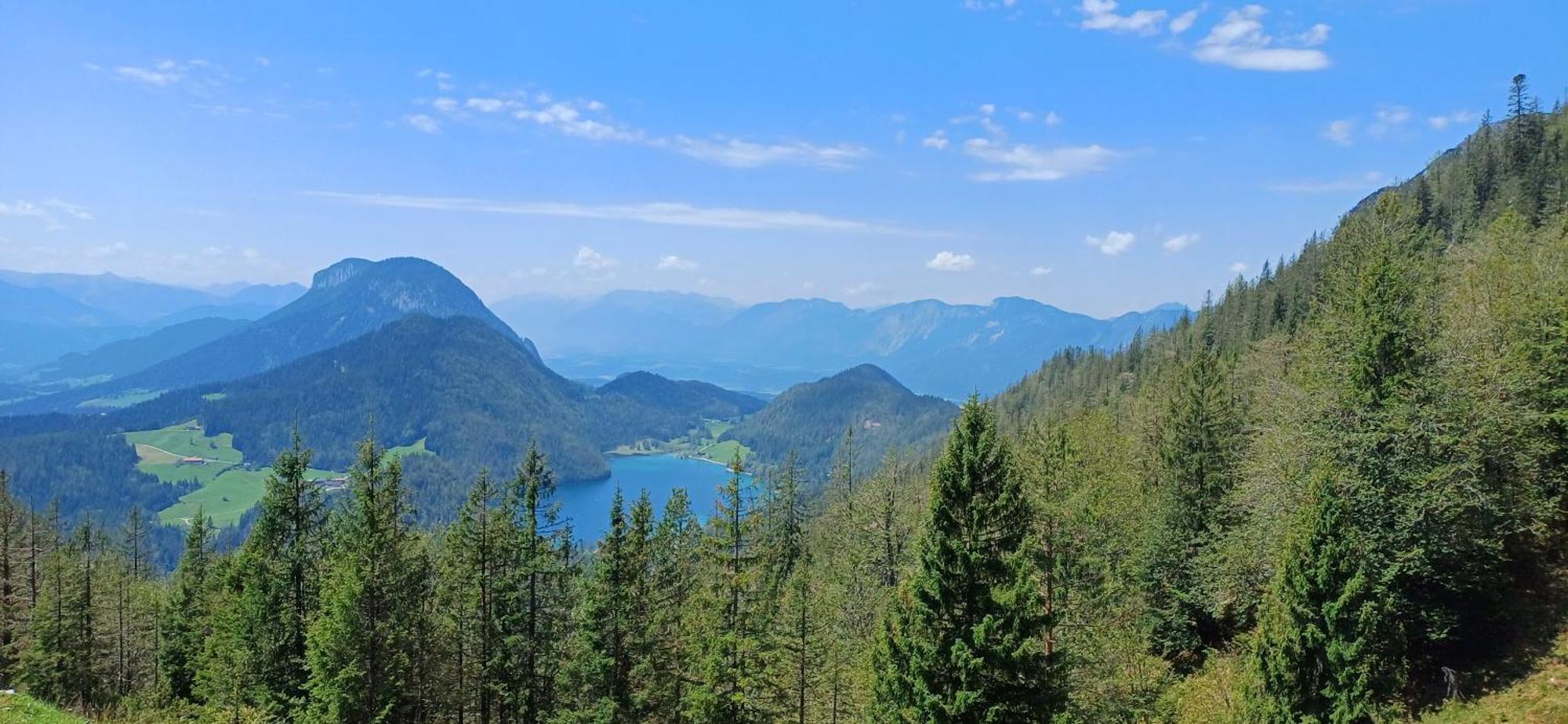 Ferienwohnung Sappl Scheffau am Wilden Kaiser Esterno foto