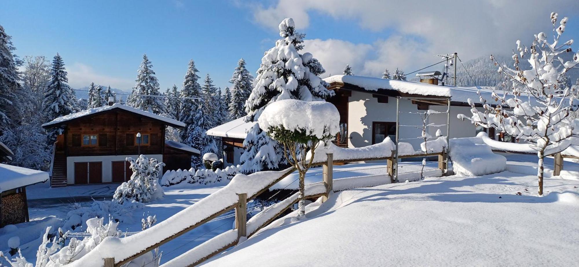 Ferienwohnung Sappl Scheffau am Wilden Kaiser Esterno foto